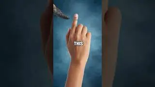 #pop