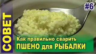 How to cook millet for fishing (bait)
