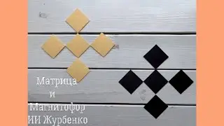 Practical application of matrices and magnetophores of AI Zhurbenko