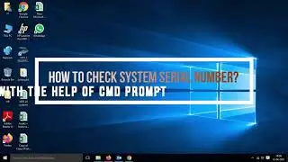 How to find System serial number?