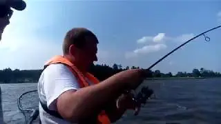 Сомик на джиг. St.Croix AVID AVS70MLF2