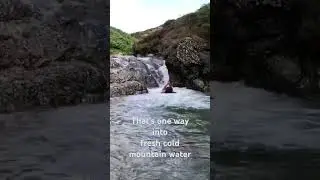 Natural Dip! 