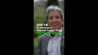 #COP16: 