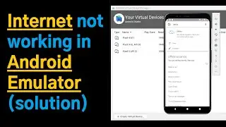 Exception caught by image resource service (Solution) | Internet Not working on Android Emulator