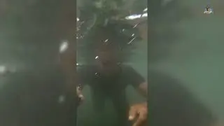 Hasil edit renang di Sungai jadi renang di pantai sama ikan Hiu