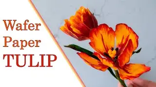 Wafer Paper Tulip