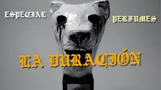 ¿CUÁNTO DEBERÍA DURAR UN PERFUME?