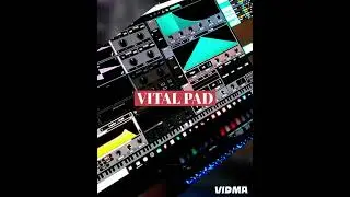 Synhtwave Action