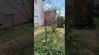 Как украшают немцы на Пасху 🥚 