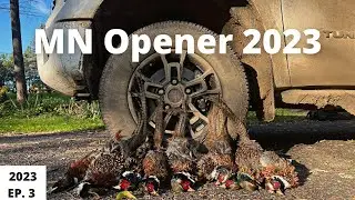 Minnesota Pheasant Hunting EP. 3
