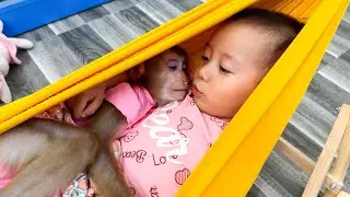 Monkey Kaka happily sleeps in the same hammock with Diem