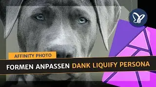 Affinity Photo-Tutorial: Verflüssigen, Liquify Persona