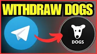How To Withdraw DOGS from Telegram Wallet | Latest Step-by-Step Guide