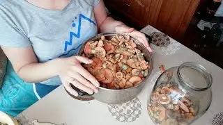 солим рыжики холодным (сухим) способом