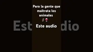 No al maltrato animal