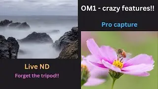 OM-1 | Using amazing features like Live ND and pro capture!