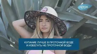 Водоем   Лекон