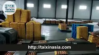 Оборудование для упаковки яиц