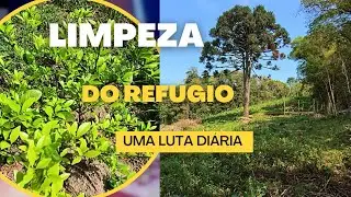 Nosso Cantinho Da Roça