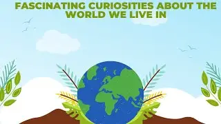 Fascinating Curiosities About The World We Live In