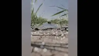 Viral video, Hd, Hot new trailers, New trailers, Trailers, Movieclips trailers, Movieclips, Virus,