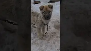 Джери   #рекомендации
