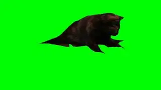 Cat Playing - Free Green Screen Effect