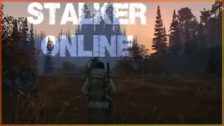 ЕКБ [STALKER ONLINE] Мастер чилит на болотах
