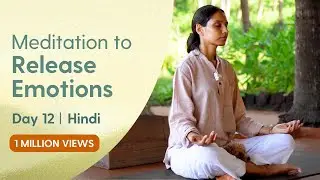 20 minute Meditation for Releasing Emotions and Finding Inner Peace | Day 12 of Beginner Camp