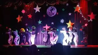 ENTRE TANGOS Y GATOS!!