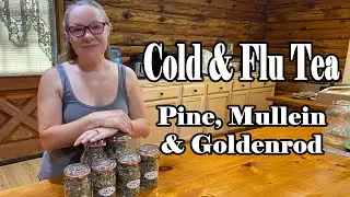 Cold & Flu Tea made with Pine, Mullein & Goldenrod