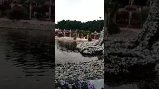 Miracle garden part 9
