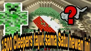 1500 Creeper Kocar Kacir Melihat 1 ekor  Hewan Imut ini.