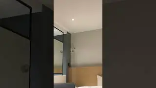 WILD Sitting Down IRL Stream 