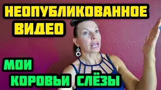 ПОЧЕМУ Я БОЛЬШЕ НЕ ПЛАЧУ. СОБИРАЮСЬ НА СВИДАНИЕ