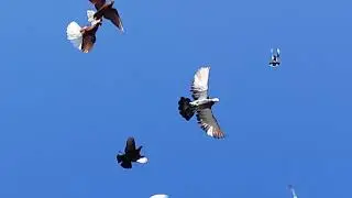 28.08.2024г С праздником Успением Пресвятой Богородицы.