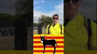 The Catalan Donkey - Symbol of the Nation 