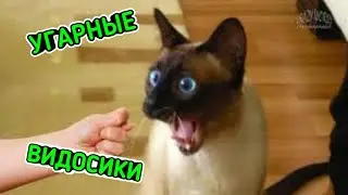 ПОДБОРКА ЛУЧШИХ ПРИКОЛОВ ЗА 2018 ГОД | ПРИКОЛЫ ОТ АНДРЮХИ