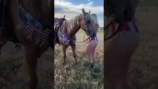 America