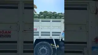 Погрузка 🍉🚛💨