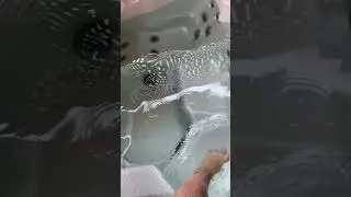 Просеко, виноград, джакузи… только девушка не пришла! 