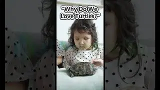 Unveiling the Turtle World: An Ode to Our Ancient Friends 🐢💚 #WorldTurtleDay2023 #lifeonland #shorts