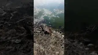 Каждый год так