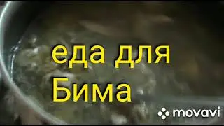 Животные у Колесниковых не приживаются!!