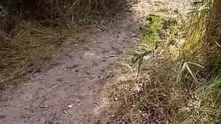 Выезд с места , как надо ）