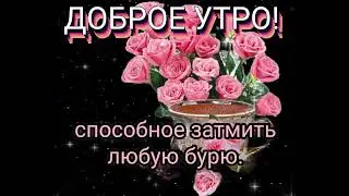 Доброе утро!