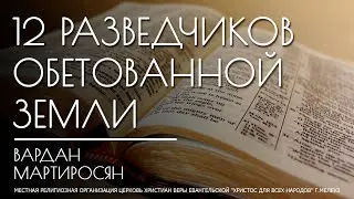 12 РАЗВЕДЧИКОВ ОБЕТОВАННОЙ ЗЕМЛИ(1) пастор Вардан