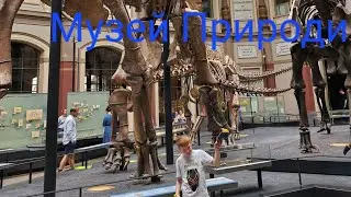 29 травня 2023 р.