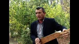 Музыка ВОСПОМИНАНИЙ! Тахиев О.
