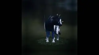 простите за долгое отсутствие.. идея не моя 